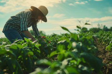 Ficohsa y De mi Tierra: sembrando un futuro sostenible en Honduras